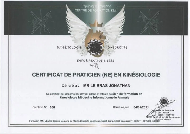 Certificat de praticien en kinésiologie animale délivré à Jonathan
